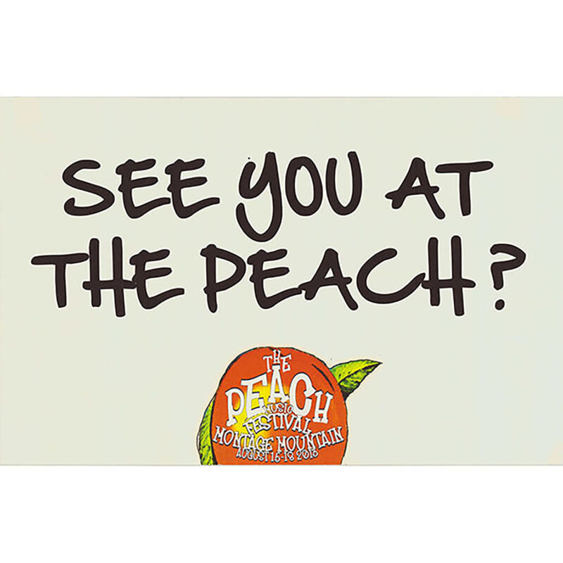 The Peach Music Festival - See you at PEACH? Scranton, PA 2013